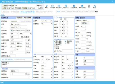 入院分娩記録